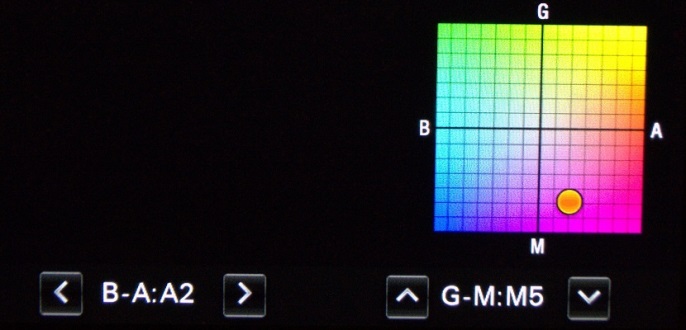 P4.jpg