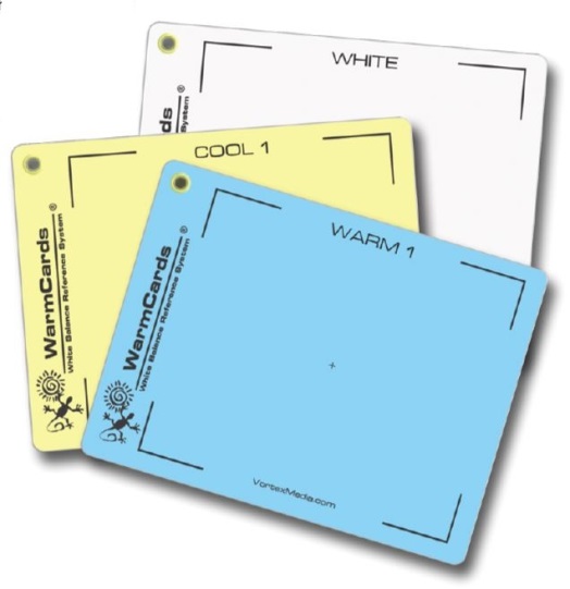 P6.jpg