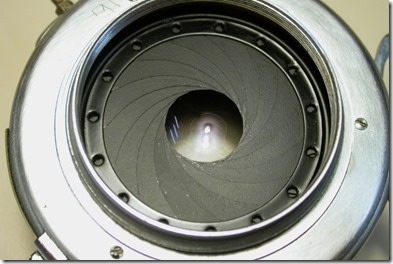 P1.jpg