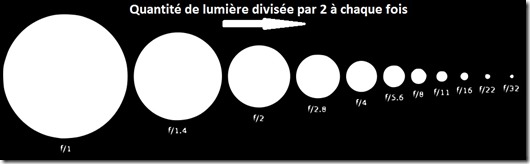 P5.jpg