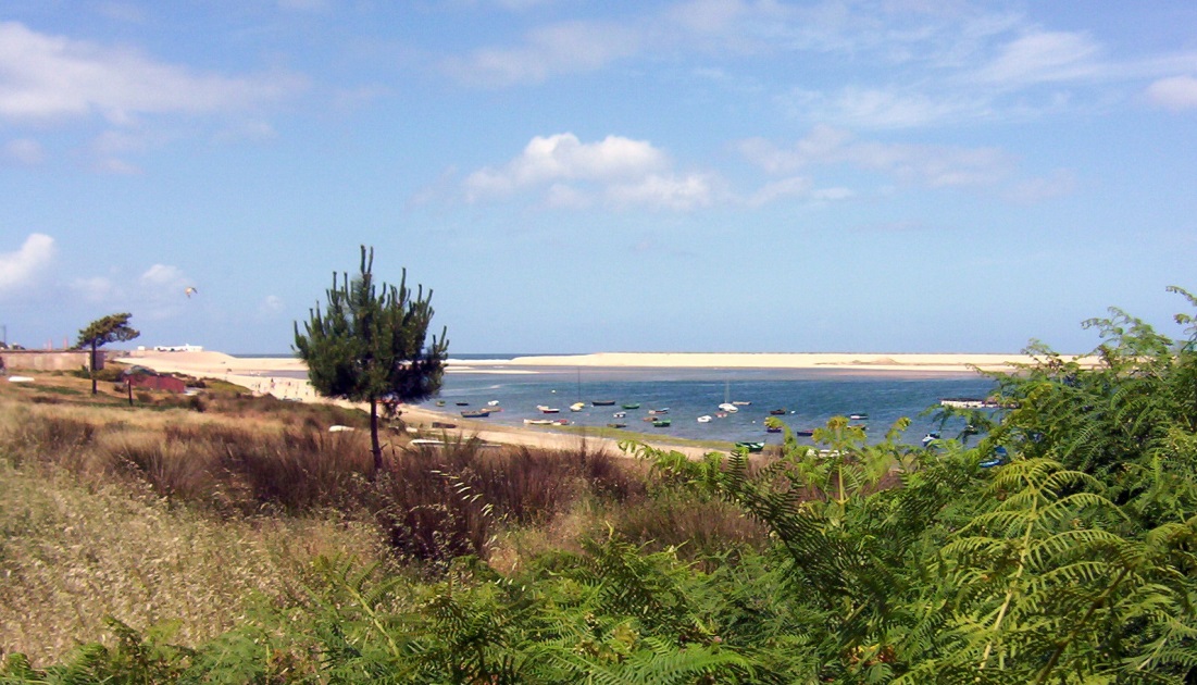 P1.jpg
