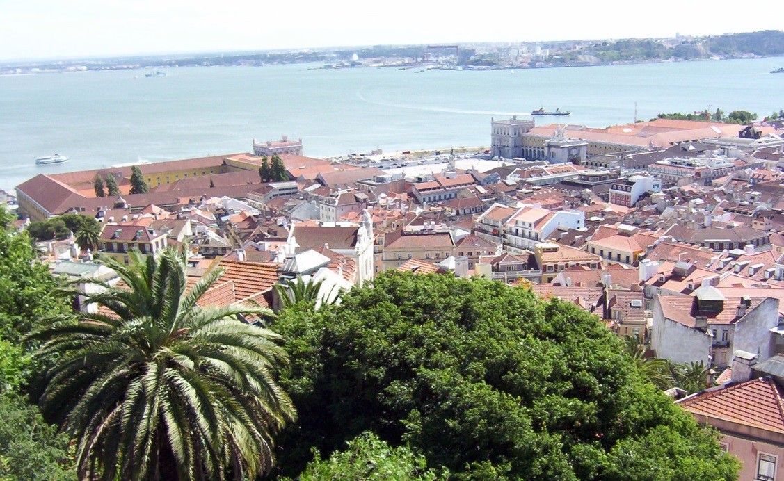 P5.jpg
