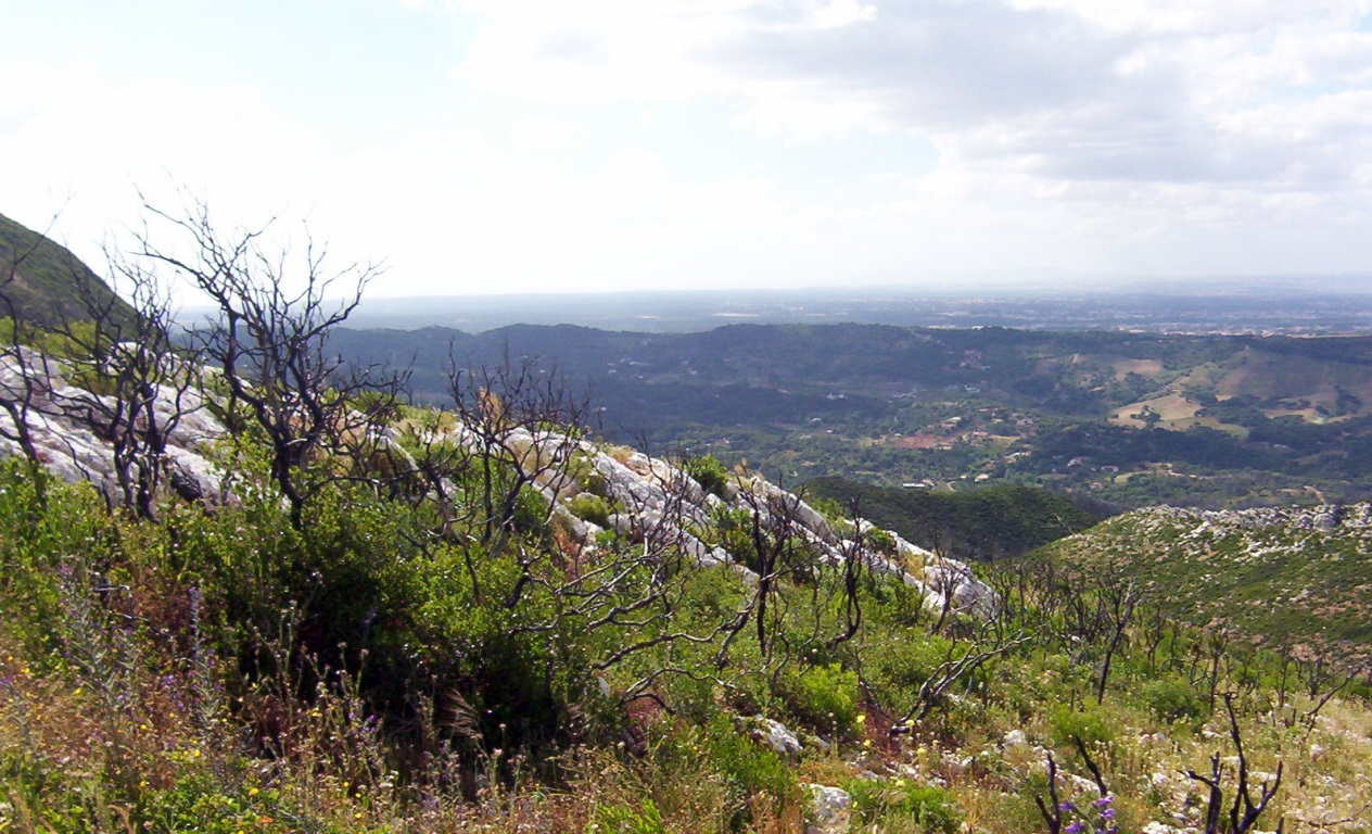 P7.jpg